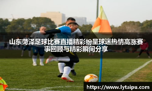 山东菏泽足球比赛直播精彩纷呈球迷热情高涨赛事回顾与精彩瞬间分享