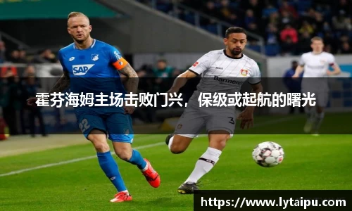 霍芬海姆主场击败门兴，保级或起航的曙光