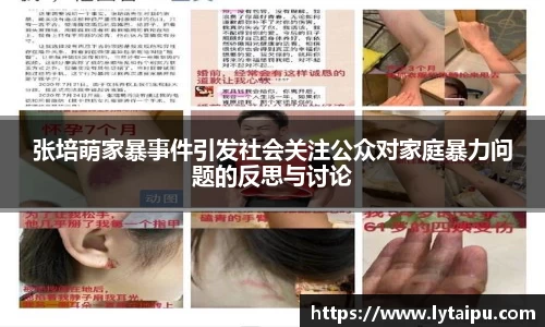 张培萌家暴事件引发社会关注公众对家庭暴力问题的反思与讨论
